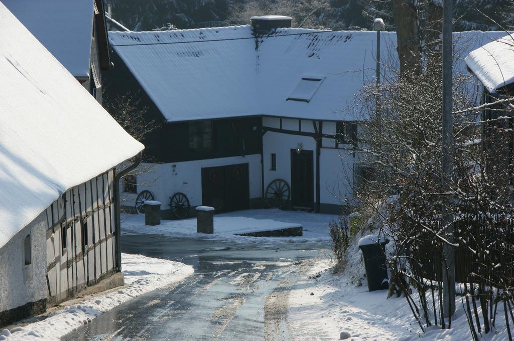 Eifelhoeve In Benenberg Hellenthal Rum bild